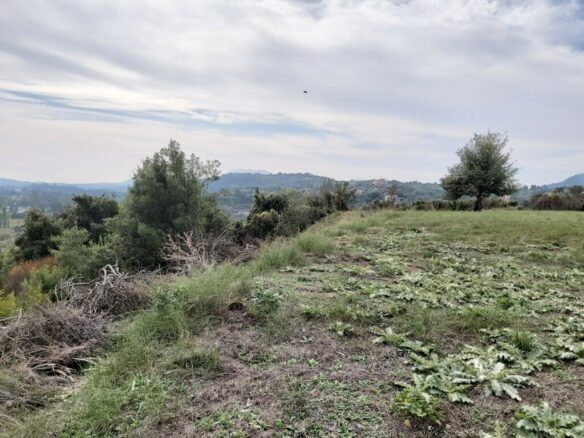 Land In Corfu, Greece