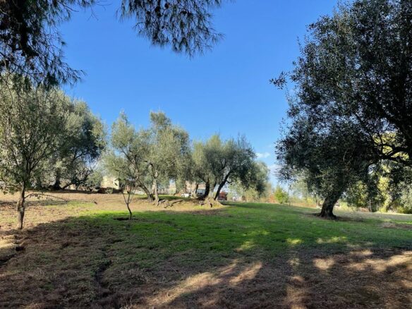Land In Corfu, Greece