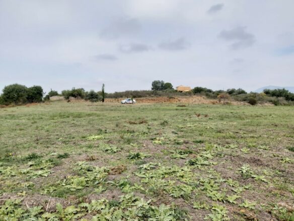Land In Corfu, Greece
