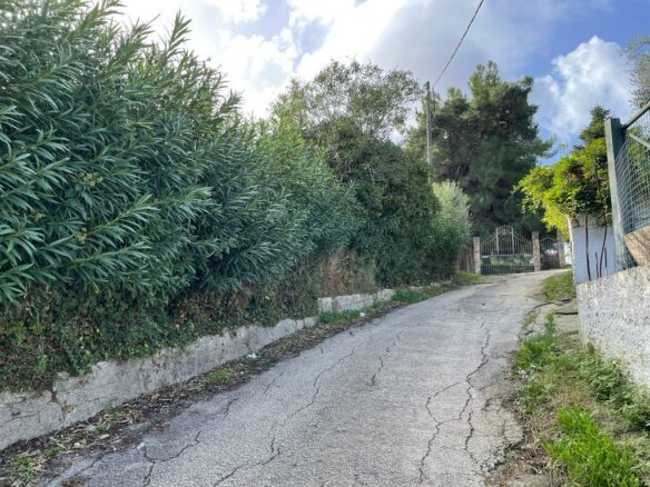 Land In Corfu, Greece