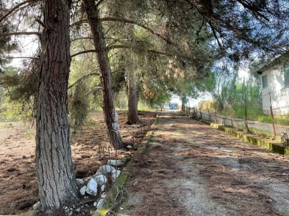 Land In Corfu, Greece
