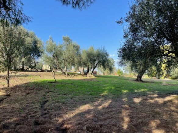 Land In Corfu, Greece