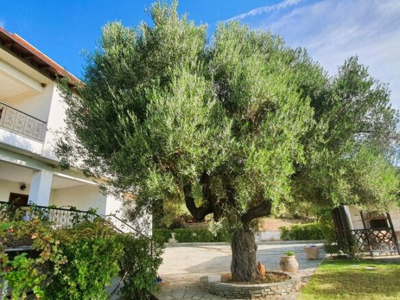 5-bedroom Villa In Sithonia, Greece (300 M²)