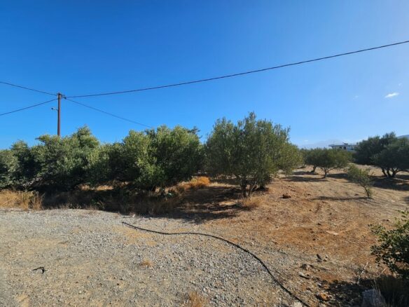 Land In Agios Nikolaos, Greece