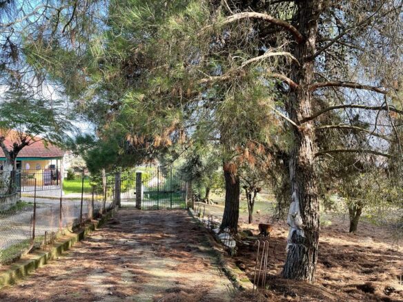 Land In Corfu, Greece