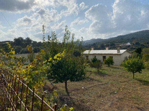 Land In Keramia, Greece