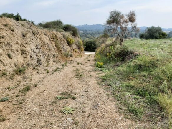 Land In Corfu, Greece