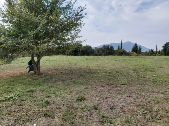 Land In Corfu, Greece