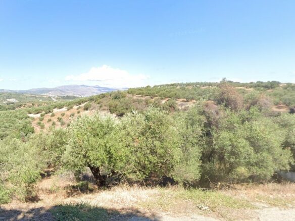 Land In Platanias, Greece