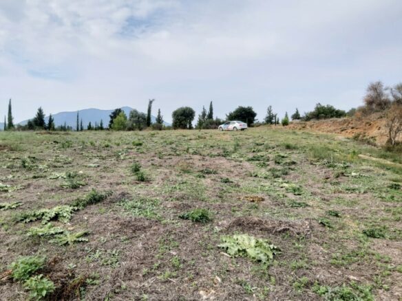 Land In Corfu, Greece