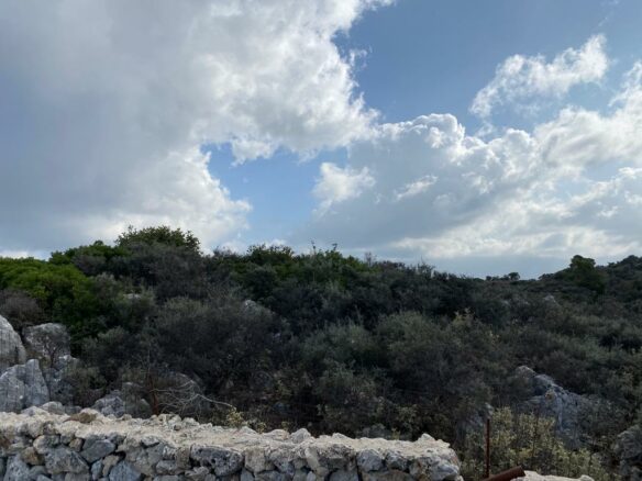 Land In Keramia, Greece
