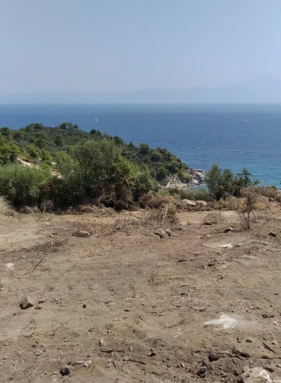 Land In Sithonia, Greece