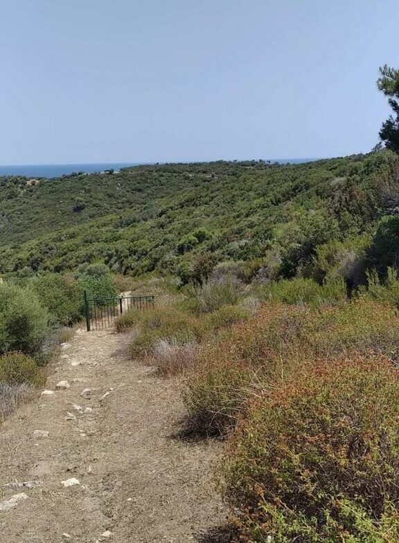 Land In Sithonia, Greece