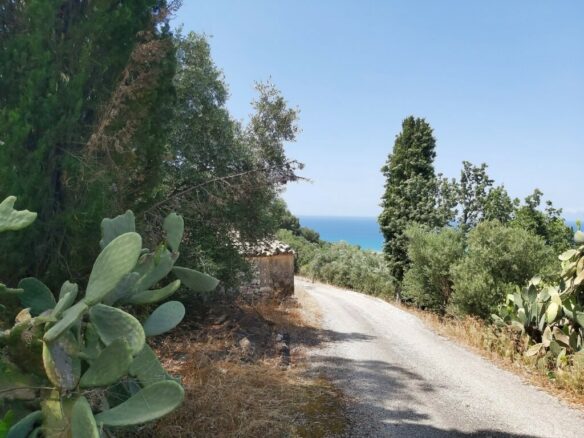 Land In Corfu, Greece