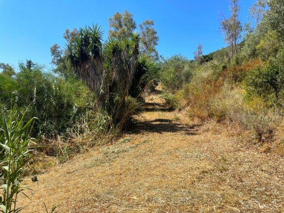 Land In Corfu, Greece