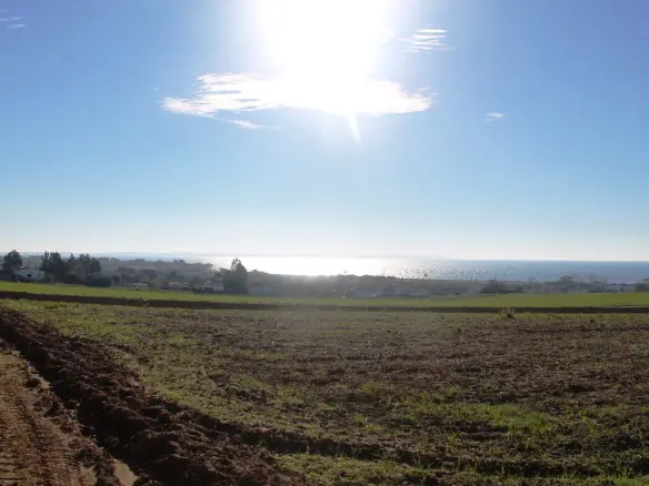 Plot Of 6300 M² In Chalkidiki
