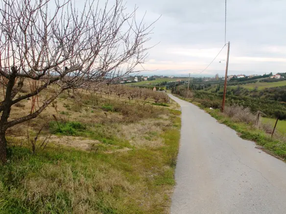 Land In Thermaikos, Greece