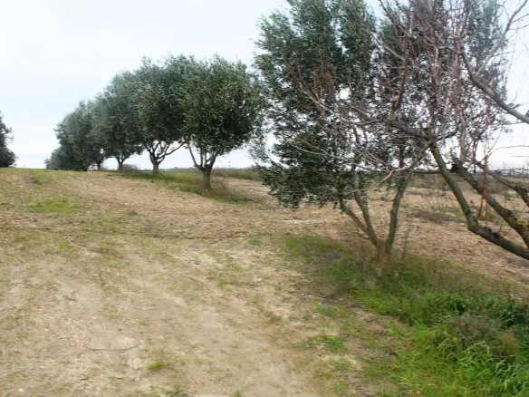 Land In Thermaikos, Greece