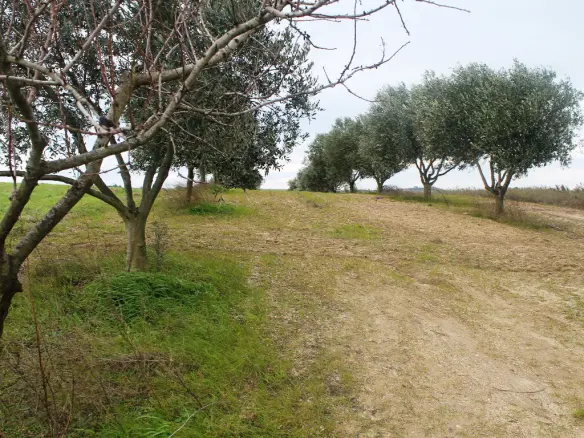 Land In Thermaikos, Greece