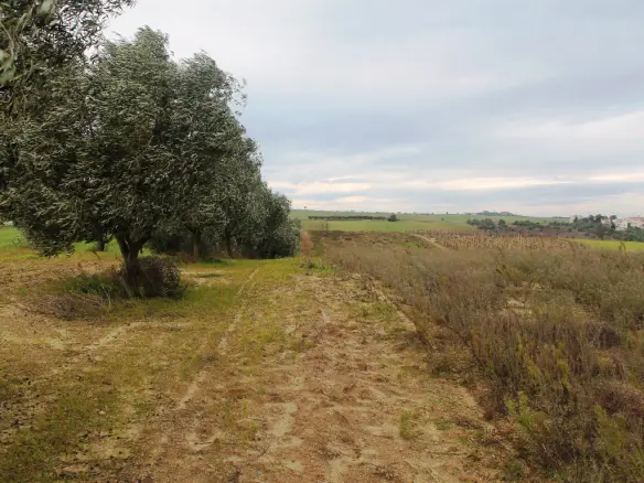 Land In Thermaikos, Greece