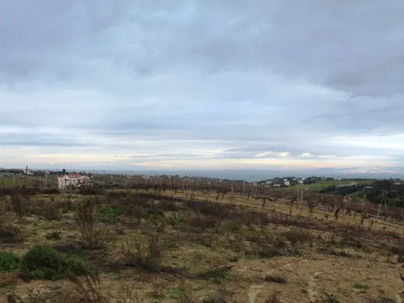 Land In Thermaikos, Greece