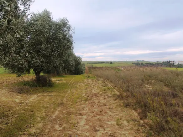 Land In Thermaikos, Greece