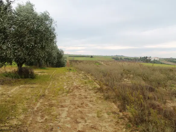 Land In Thermaikos, Greece