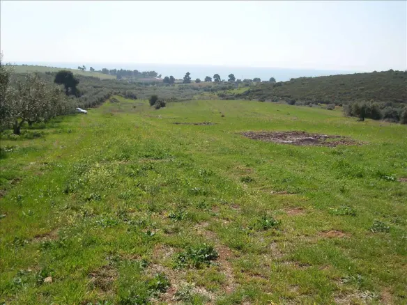Land In Poligiros, Greece