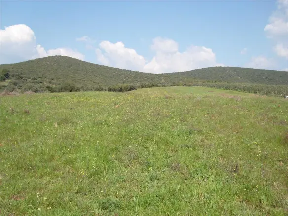 Land In Poligiros, Greece