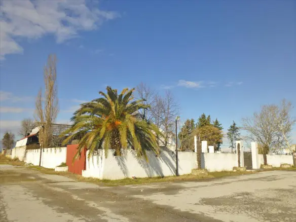 Business In Greece (350 M²)