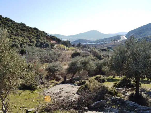 Land In Eleitheres, Greece