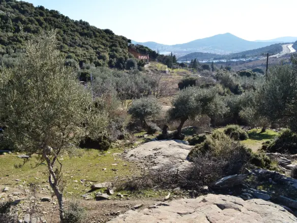 Land In Eleitheres, Greece