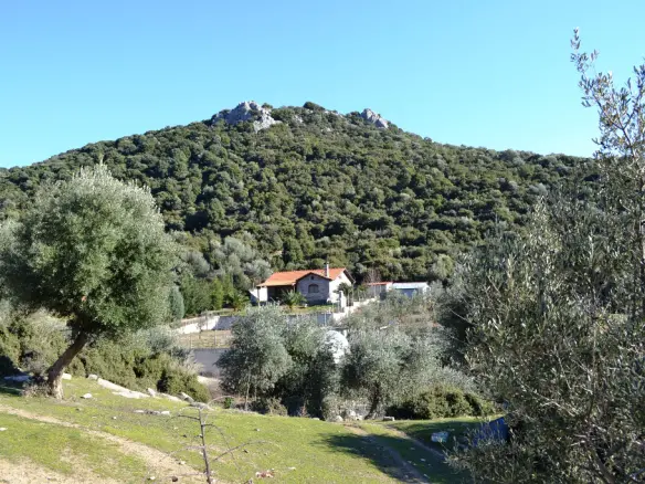 Land In Eleitheres, Greece