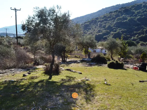 Land In Eleitheres, Greece