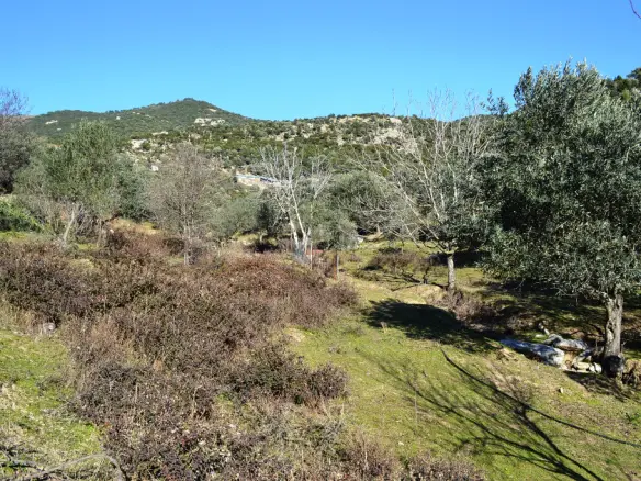Land In Eleitheres, Greece