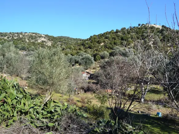 Land In Eleitheres, Greece
