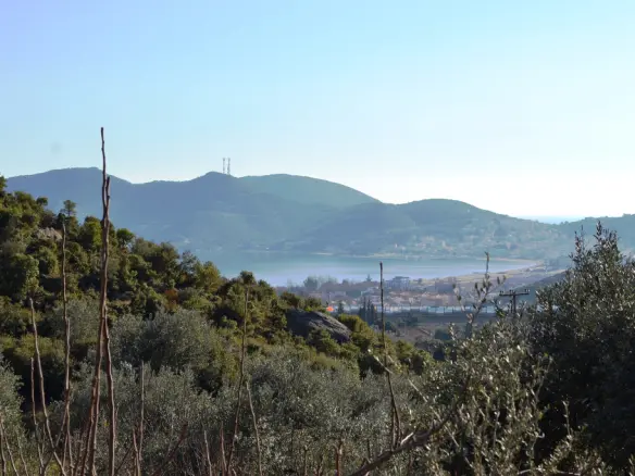 Land In Eleitheres, Greece