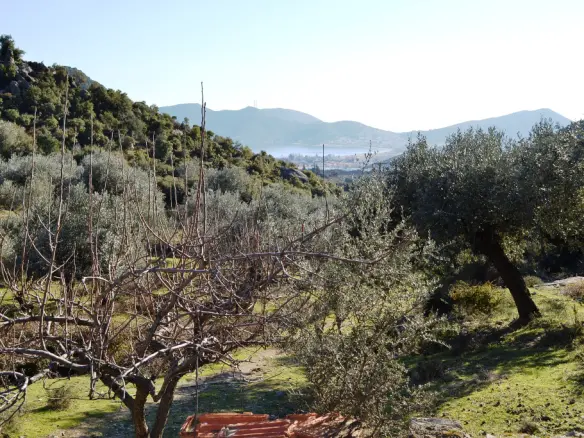 Land In Eleitheres, Greece