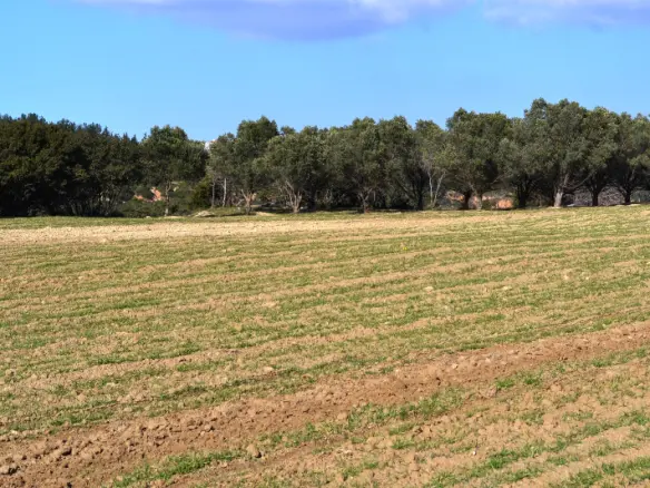 Land In Mikra, Greece