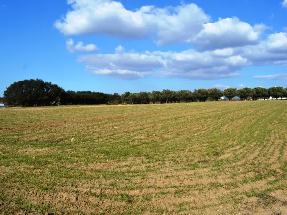 Land In Mikra, Greece