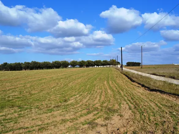 Land In Mikra, Greece
