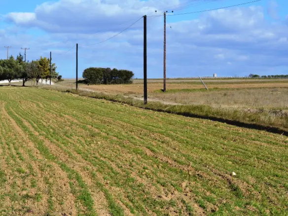 Land In Mikra, Greece