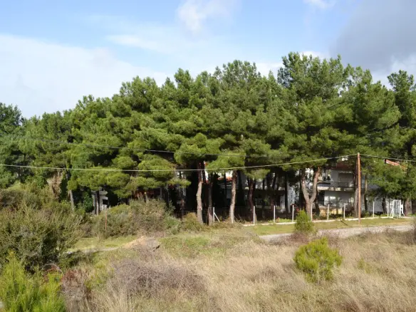 Land In Chortiatis, Greece