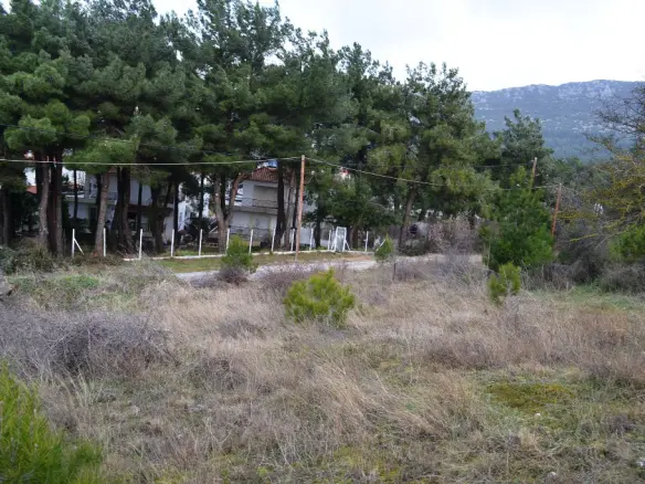 Land In Chortiatis, Greece