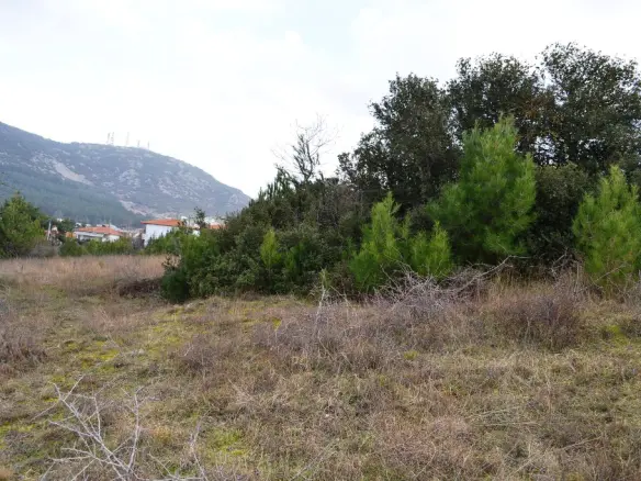 Land In Chortiatis, Greece