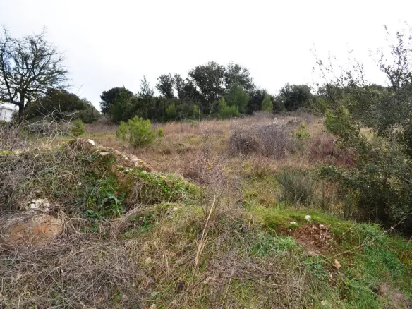 Land In Chortiatis, Greece