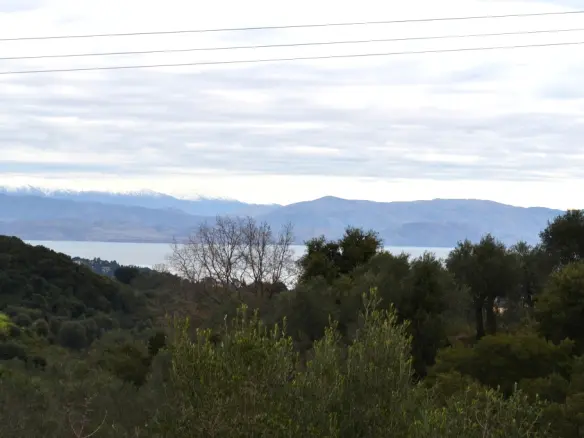 Land In Corfu, Greece