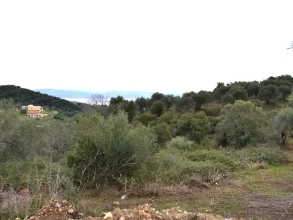 Land In Corfu, Greece