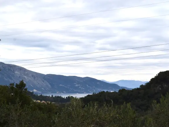Extensive 5743 M² Land Parcel Available In Corfu