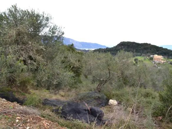 Land In Corfu, Greece
